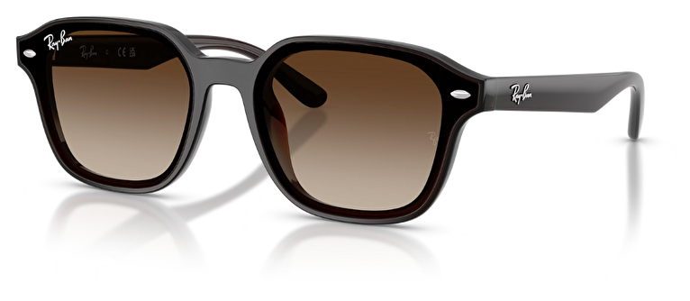 Ray-Ban RB 0RB4458D 714/13 65*18*140
