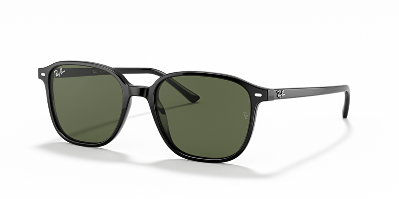 Ray-Ban RB 0RB2193 901/31 53*18*145
