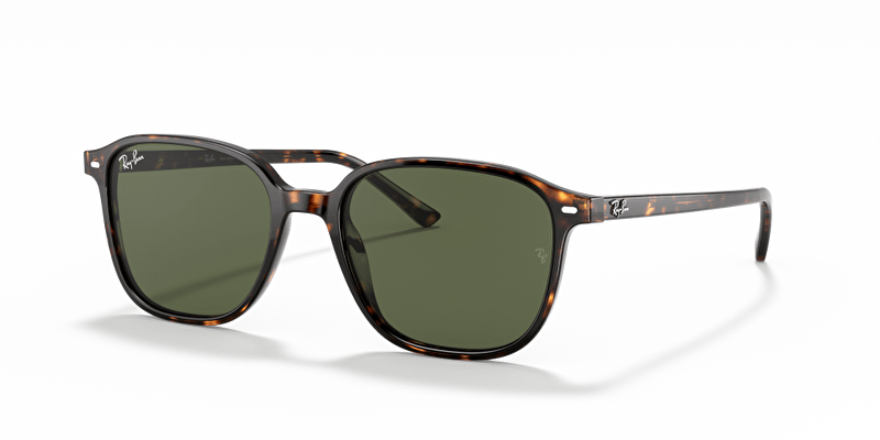 Ray-Ban RB 0RB2193 902/31 53*18*145