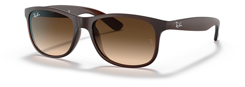 Ray-Ban RB 4202 607313 55*17
