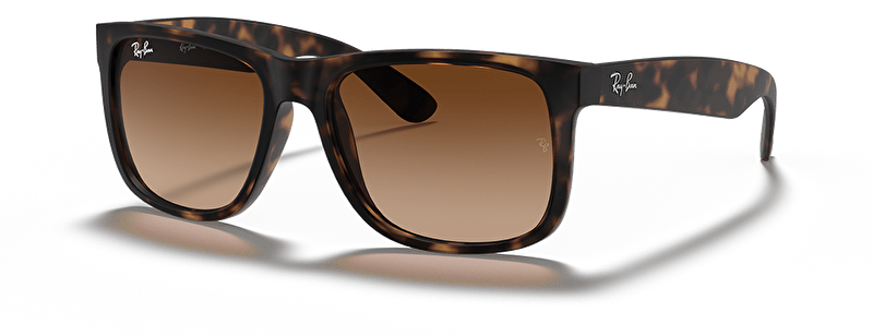 Ray-Ban RB 4165 710/13 55*16*145