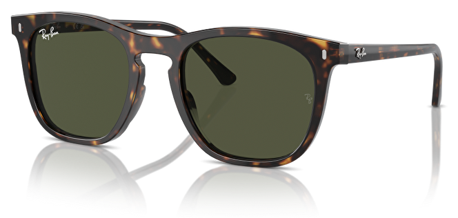 Ray-Ban RB 0RB2210 902/31 53*21*145