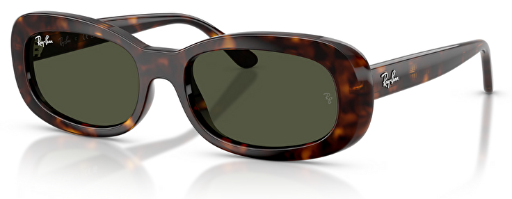 Ray-Ban RB 0RB2221 902/31 56*18*145