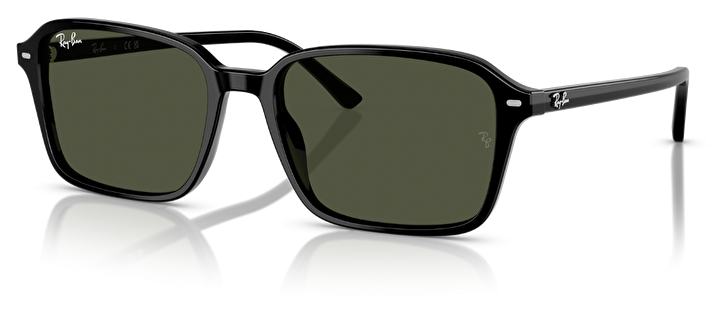 Ray-Ban RB 0RB2231 901/31 58*18*145