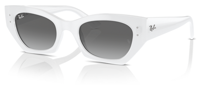 Ray-Ban RB 0RB4430 675911 49*22*145