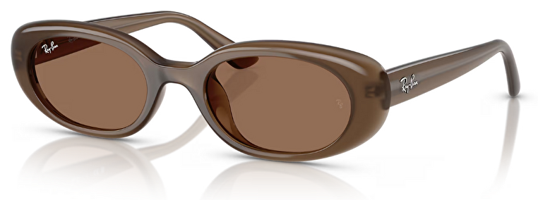 Ray-Ban RB 0RB4441D 677973 53*21
