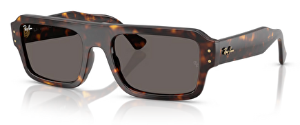 Ray-Ban RB 0RB4454 1359B1 56*20*145